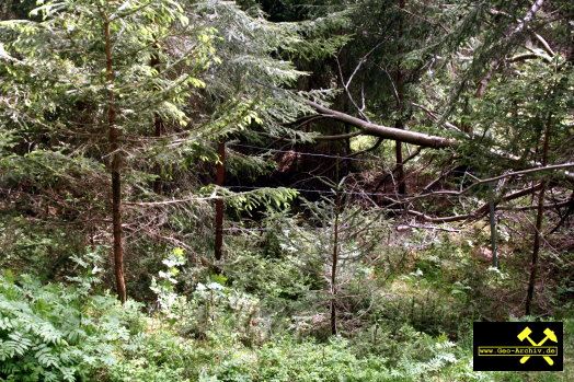 SDAG Wismut Schurf 22 nahe Stollen 224 im Revier Johanngeorgenstadt, Erzgebirge, Sachsen - 21. Mai 2009 (11).jpg